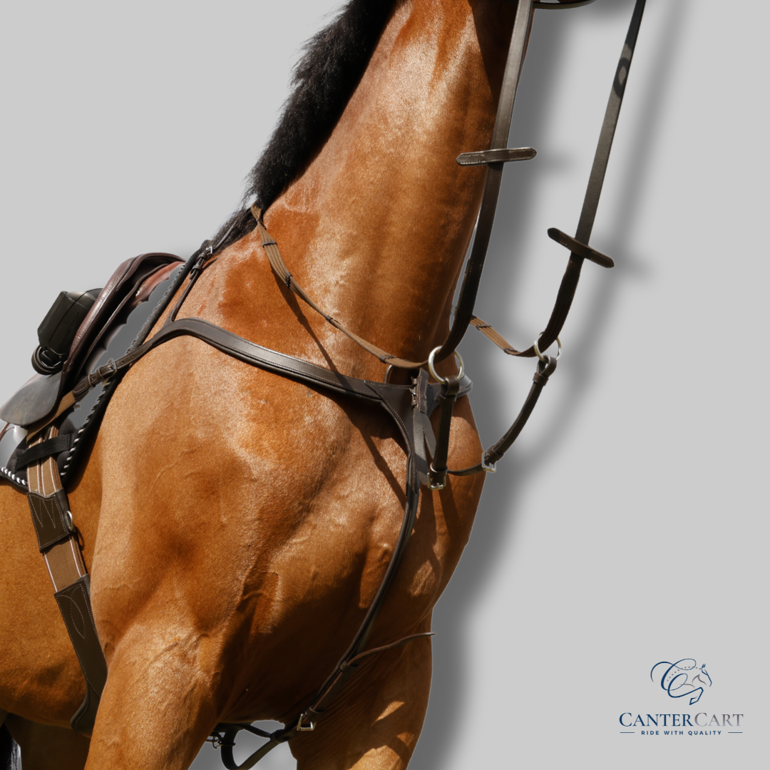 Three-point breastplate with detachable martingale