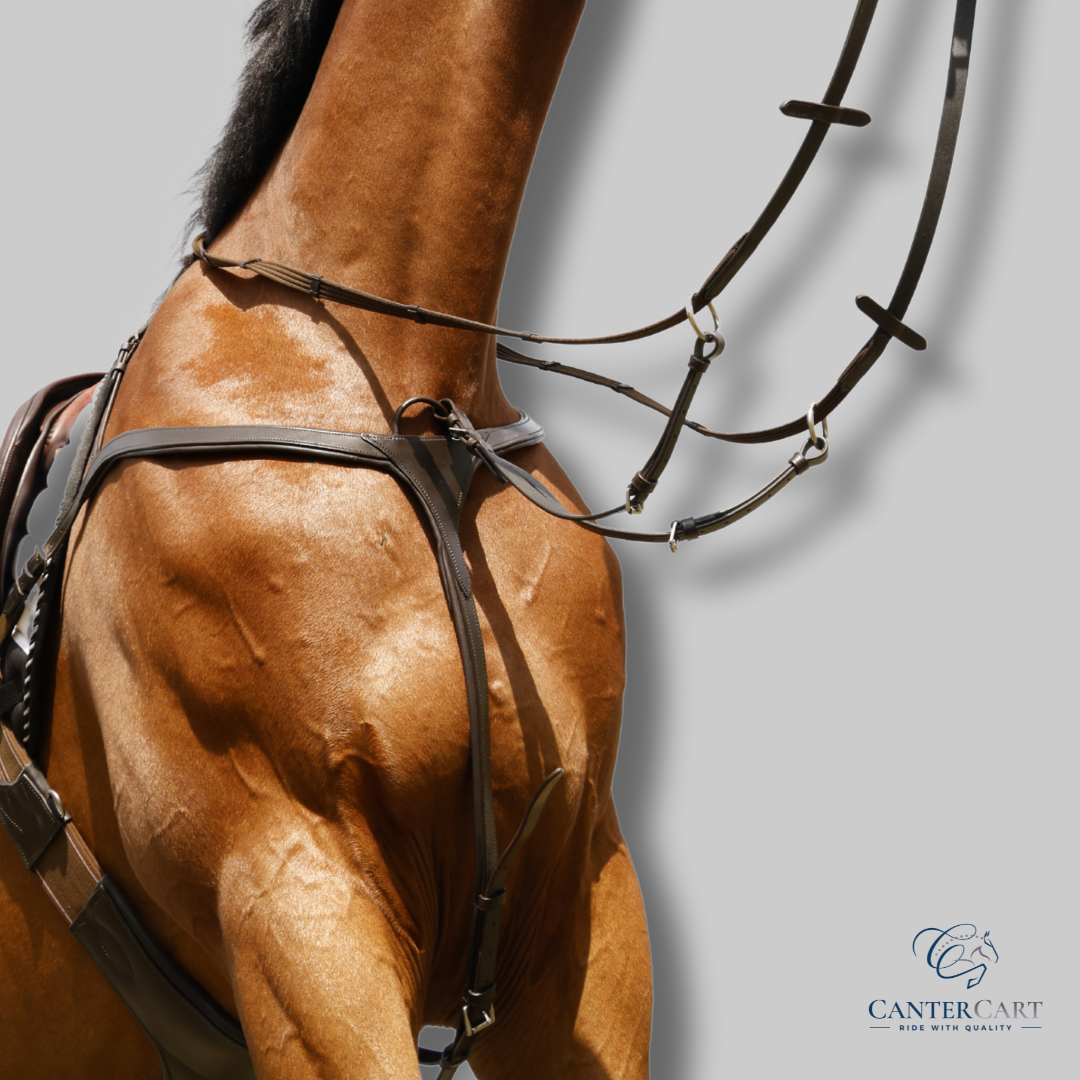 Three-point breastplate with detachable martingale