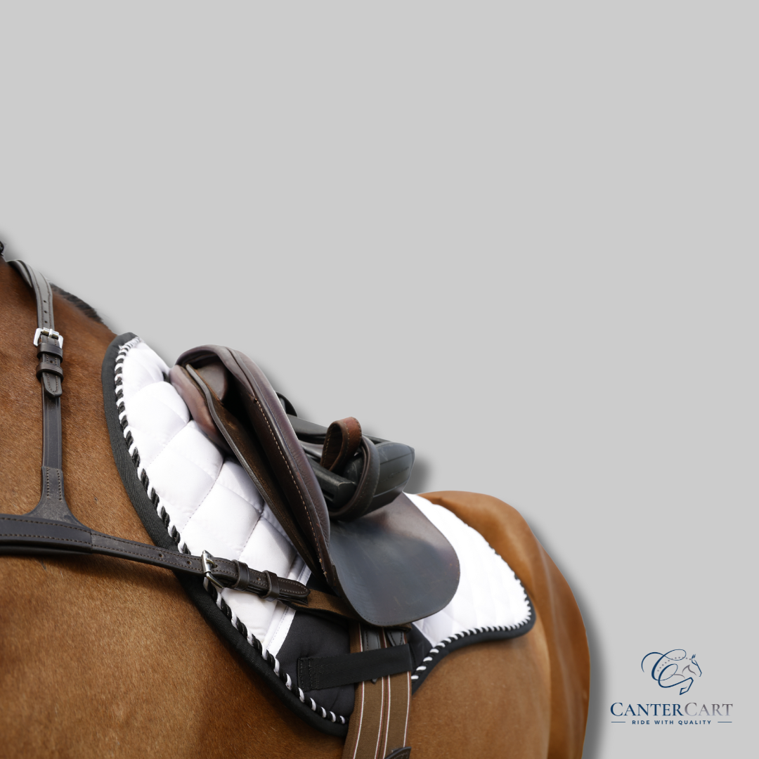 Three-point breastplate with detachable martingale