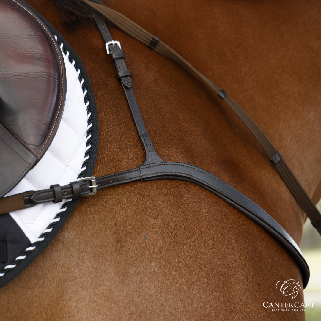 Three-point breastplate with detachable martingale