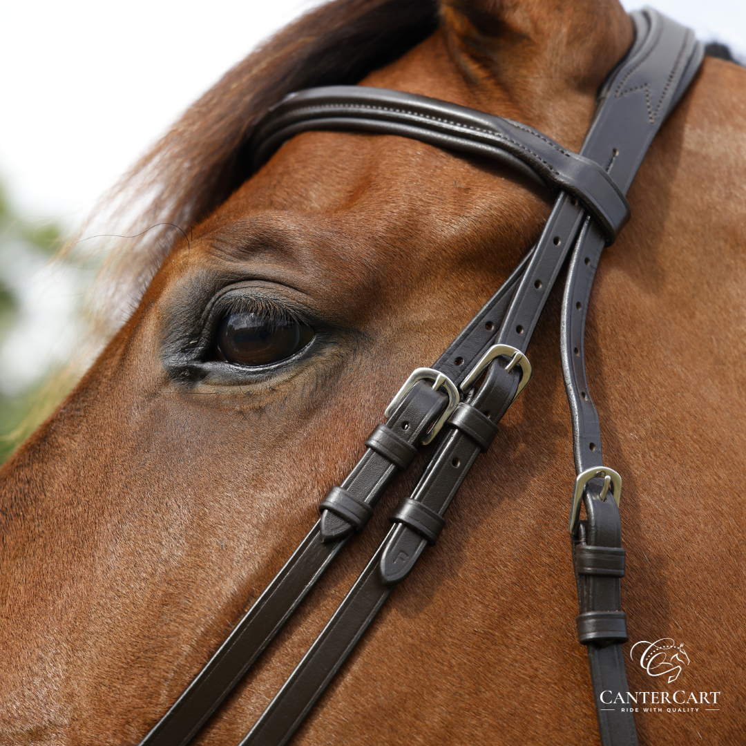English Bridle with Stitching