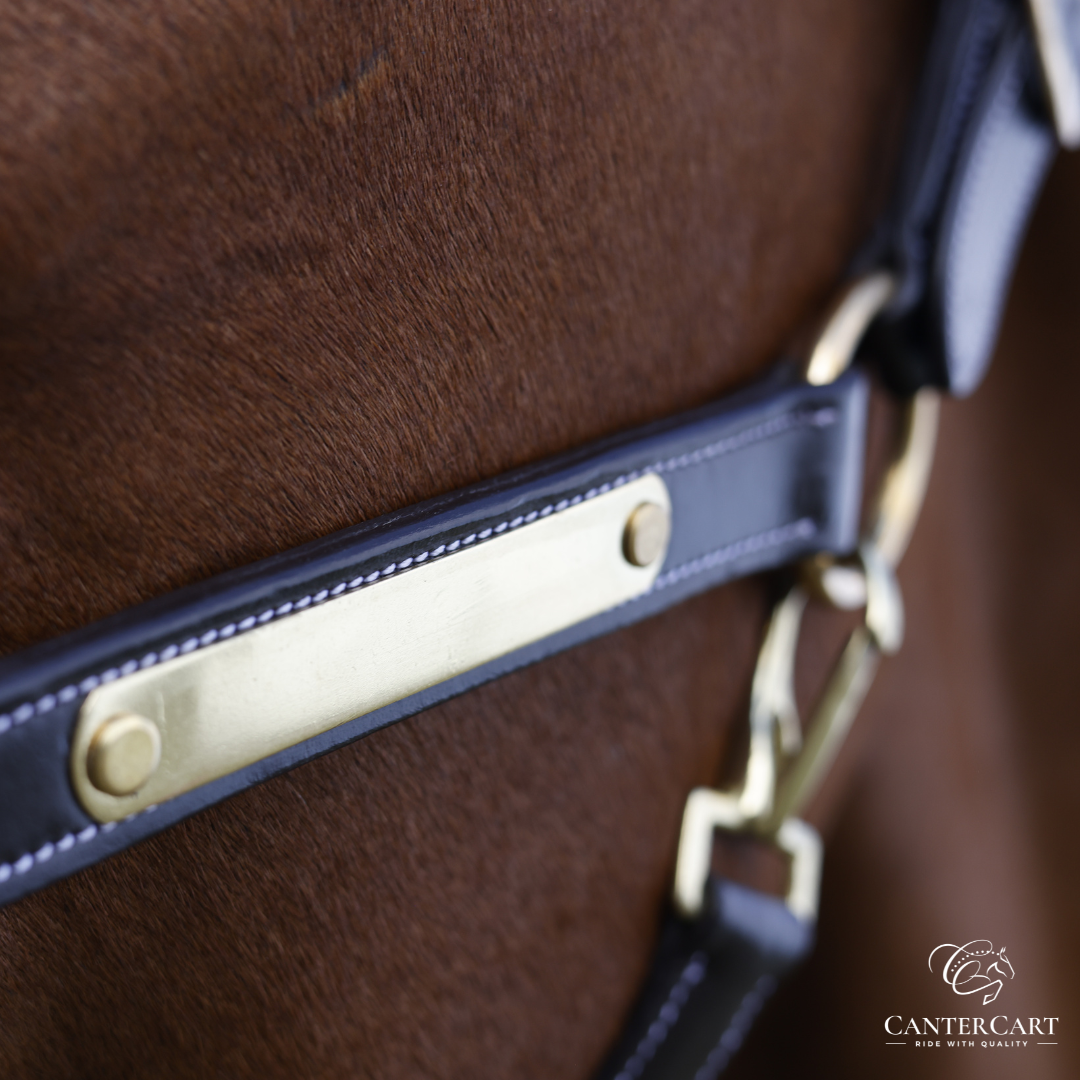 Classic Padded Premium Leather Halter