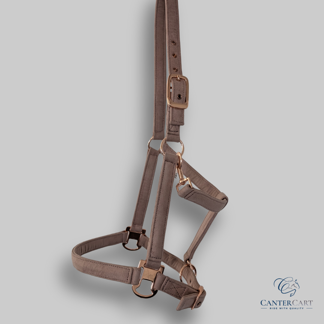 Exquisite Beige Colored Leather Halter - Warmblood